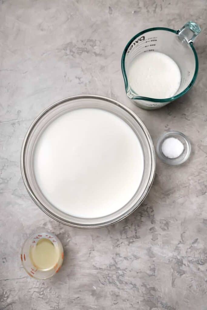 Easy 4 Ingredient Homemade Ricotta Cheese! Well Seasoned Studio