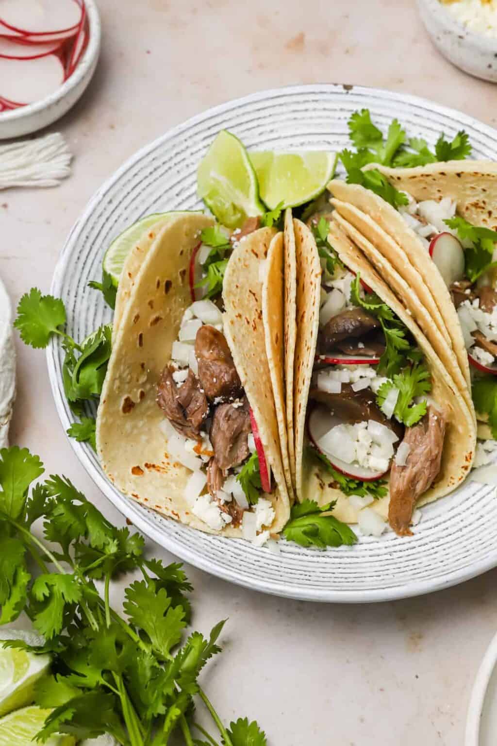 BarbacoaInspired Braised Lamb Tacos Well Seasoned Studio