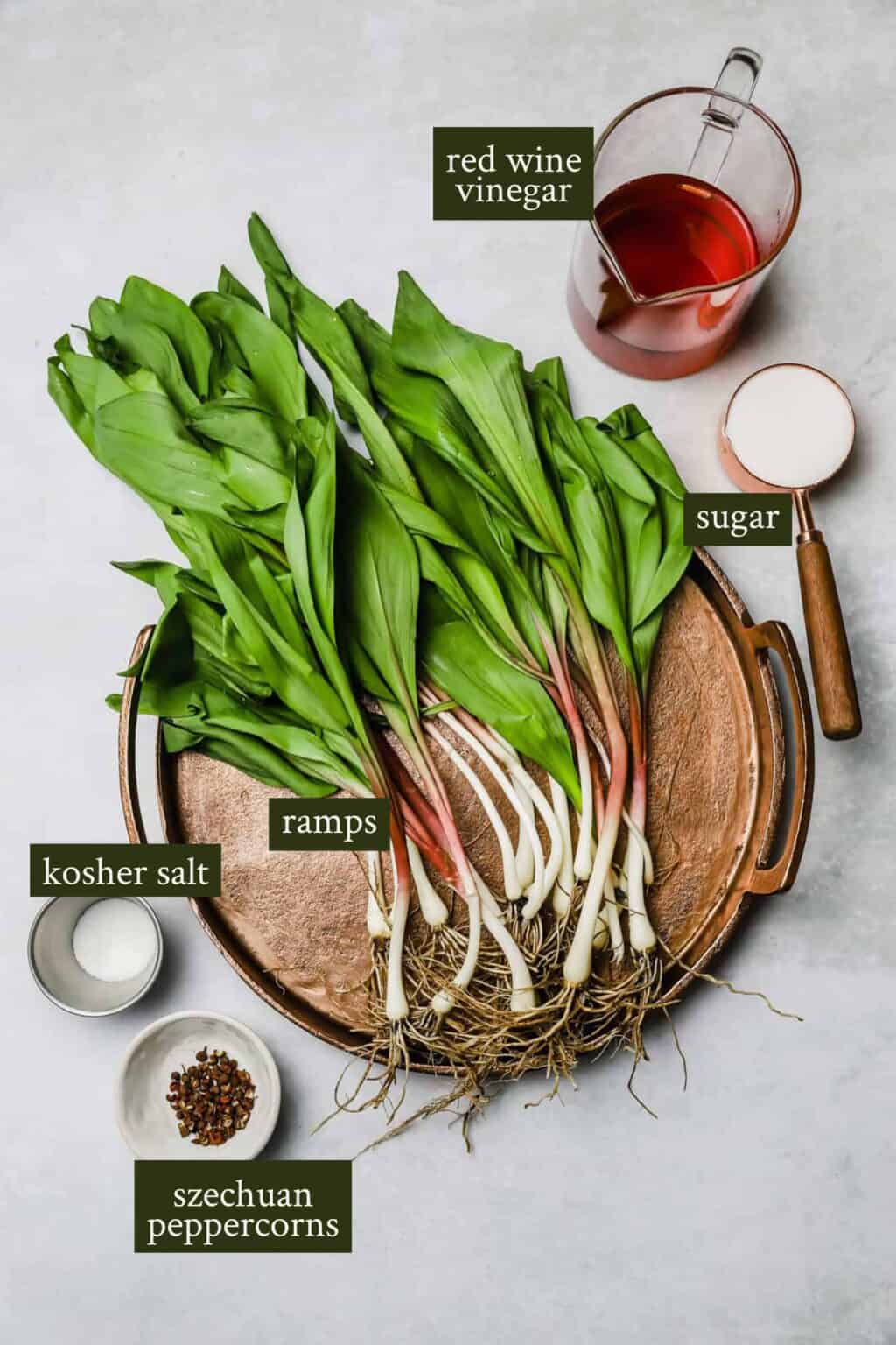 Quick Pickled Ramps (Add Them To Everything! Well Seasoned Studio