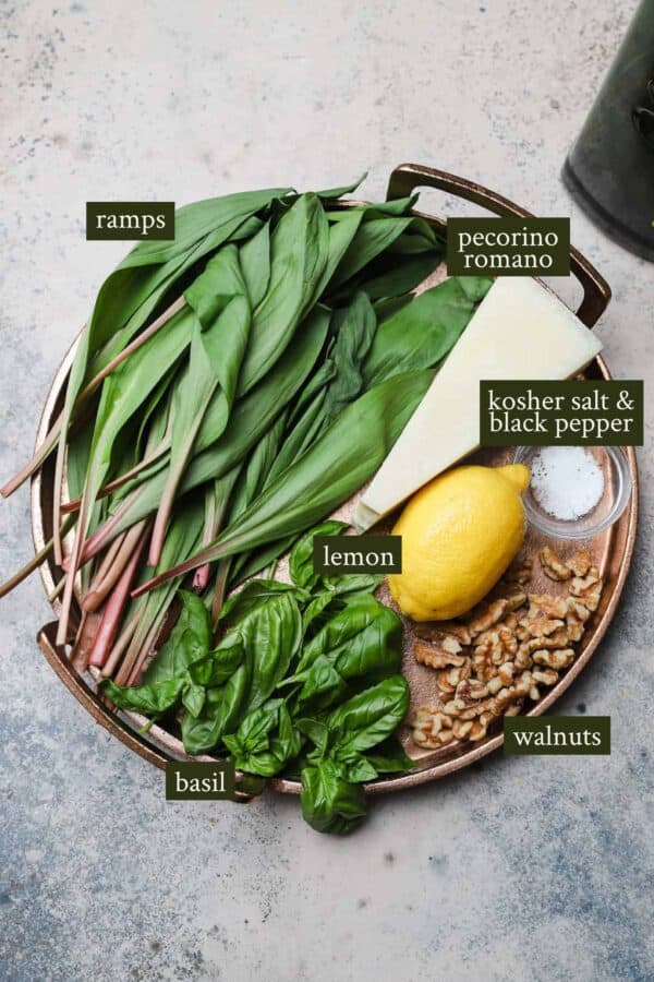 5Ingredient Homemade Ramp Pesto Well Seasoned Studio