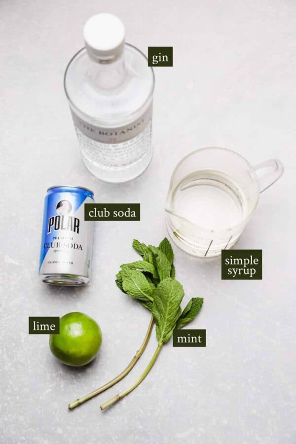 Refreshing Southside Cocktail (Gin & Mint) Well Seasoned Studio