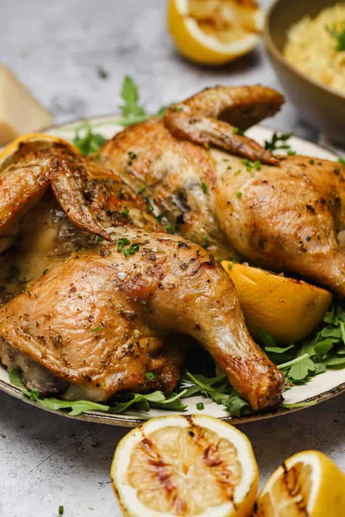 Grilled lemon oregano spatchcock chicken over arugula.