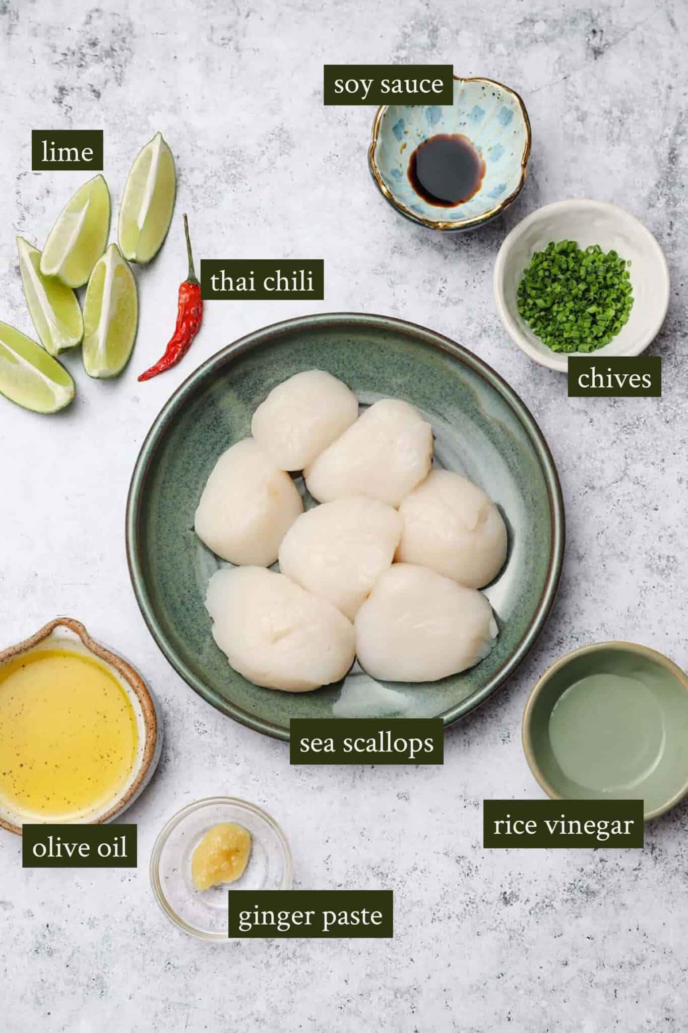 10Minute Scallop Crudo with Soy & Ginger Well Seasoned Studio