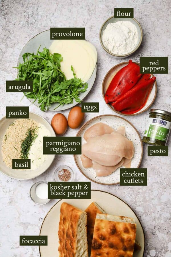 Crispy Chicken Cutlet Panini with Pesto Well Seasoned Studio