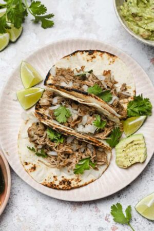 Pulled pork tacos on a plate with ripe sliced avocado and fresh cilantro.