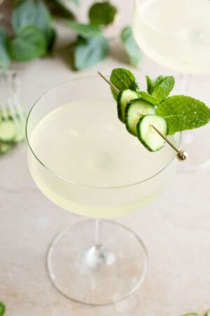 Close up of cucumber martini with cucumber and mint garnish.