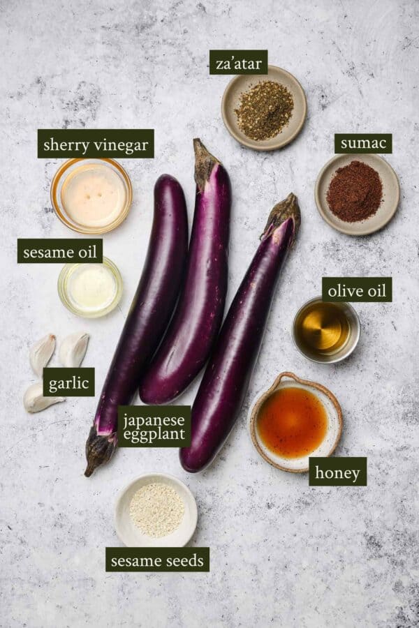 Tender Grilled Eggplant Skewers with Za'atar Well Seasoned Studio