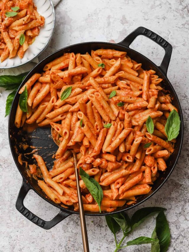 Penne Alla Vodka With Shrimp Well Seasoned Studio