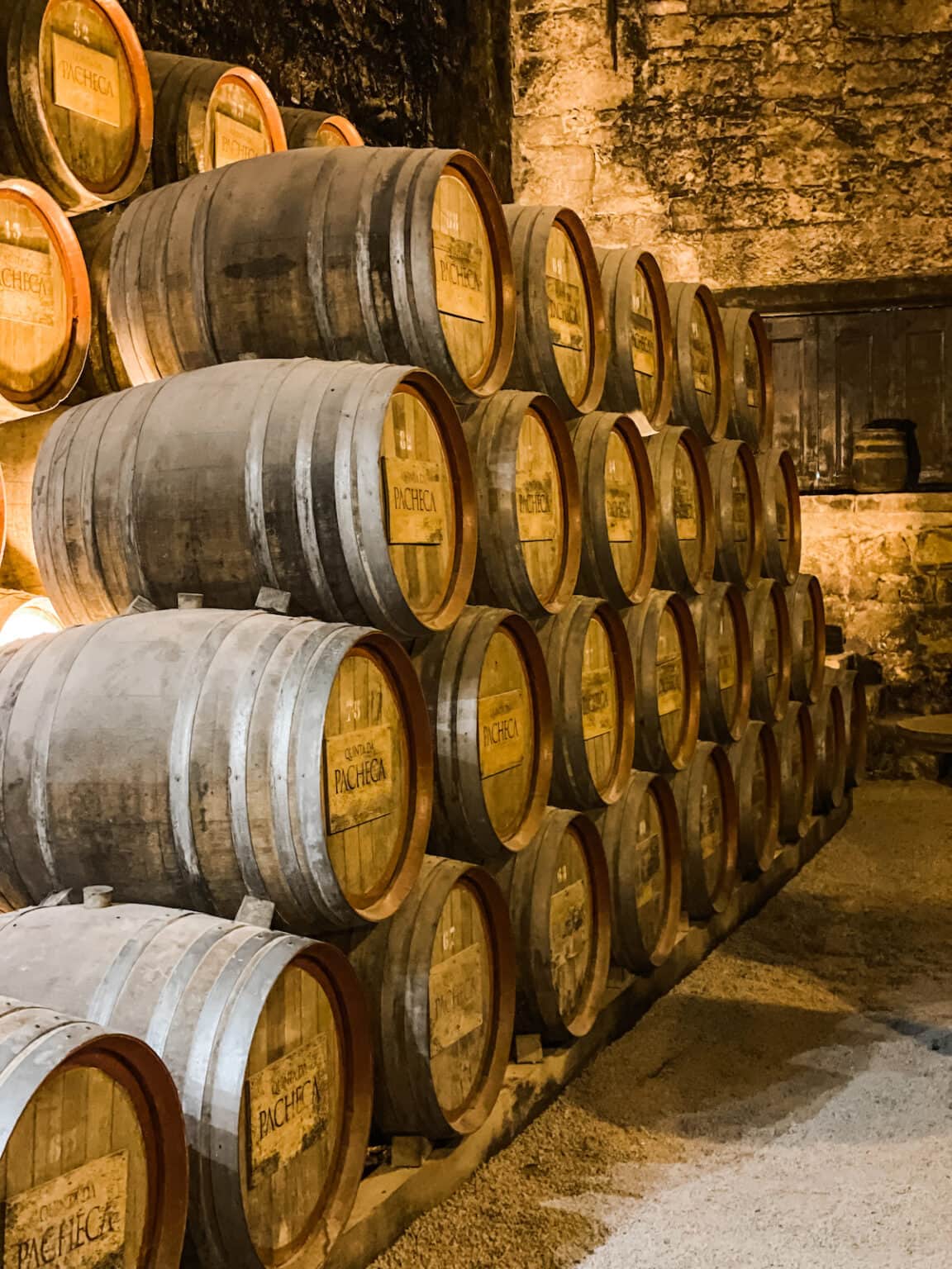 Red Port The Comprehensive Guide to Port Wine - Well Seasoned Studio