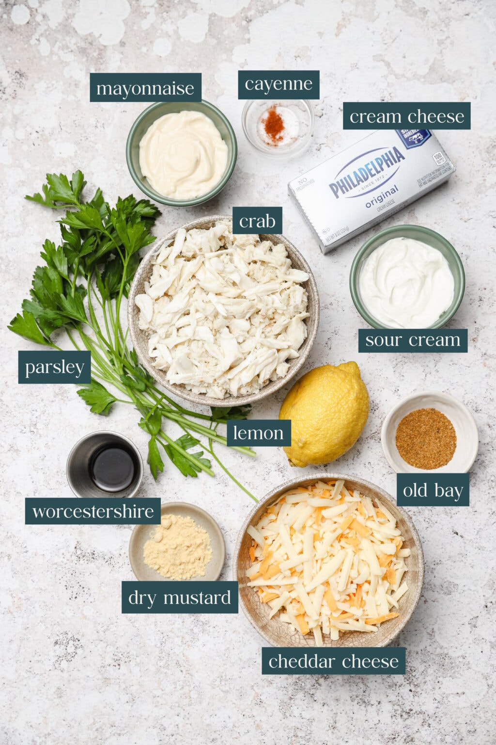 Creamy, Cheesy Hot Crab Dip (Holiday Appetizer!) Well Seasoned Studio