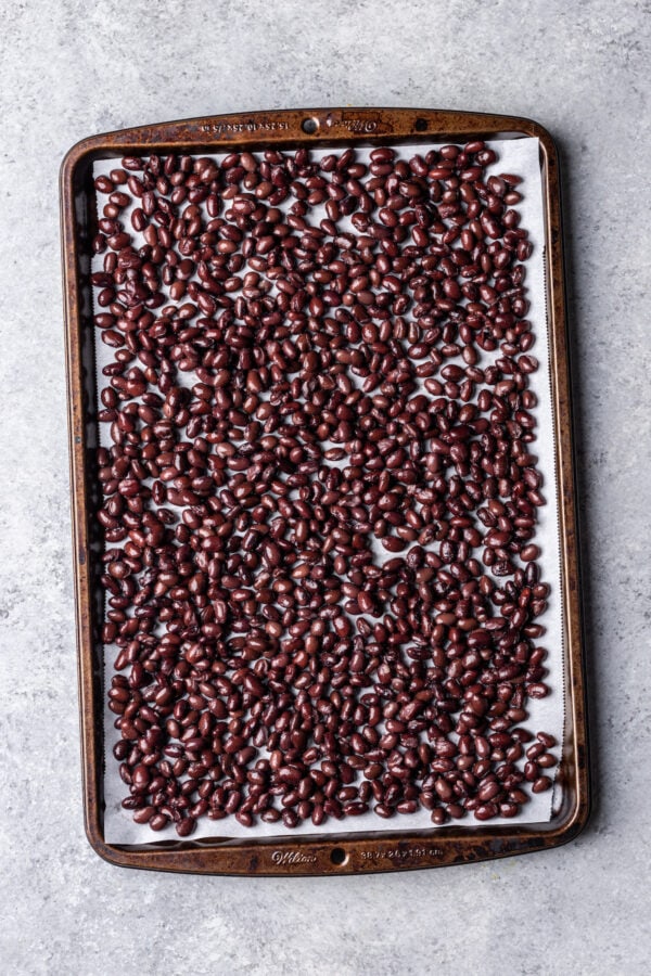 Kenji's Black Bean Burgers (That Don't Fall Apart!) Well Seasoned Studio