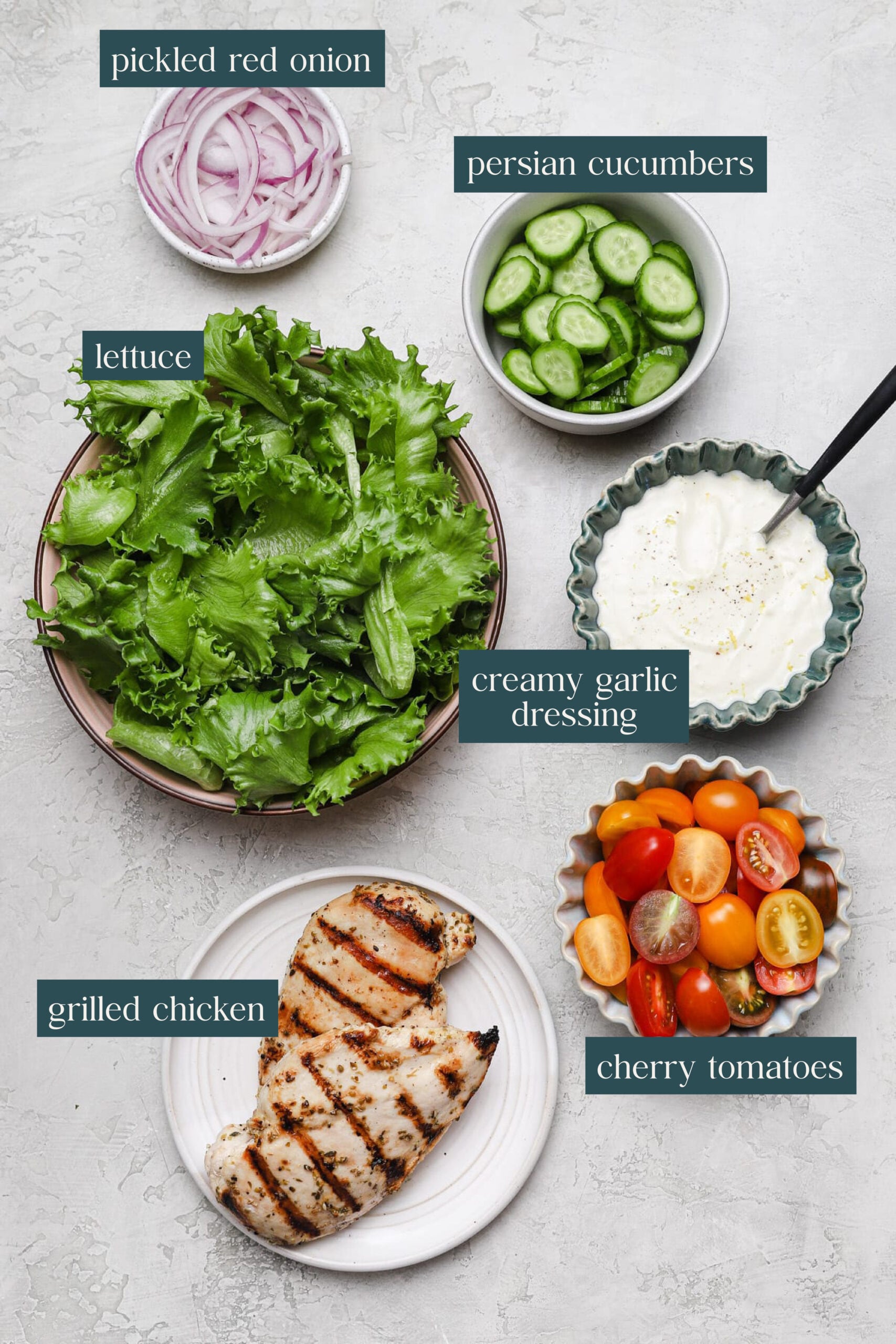 Tender, Juicy Grilled Chicken Salad - Well Seasoned Studio