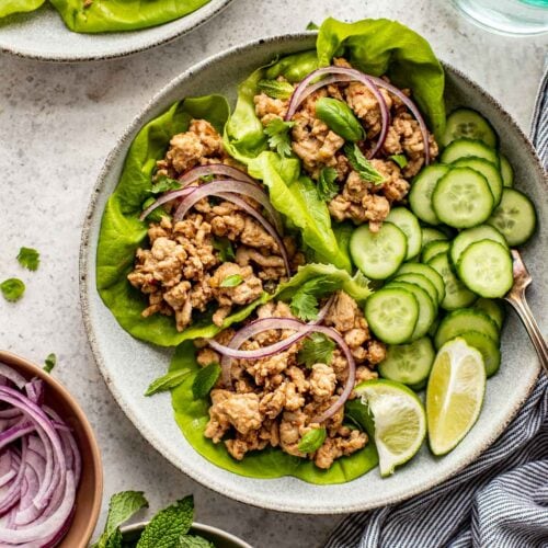 20Minute Laotian Chicken Larb (Larb Gai) Well Seasoned Studio