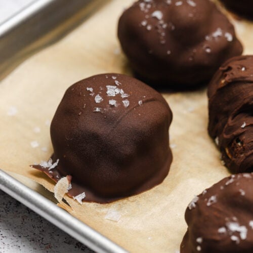 Frozen Greek Yogurt Bites with Cookie Butter Well Seasoned Studio