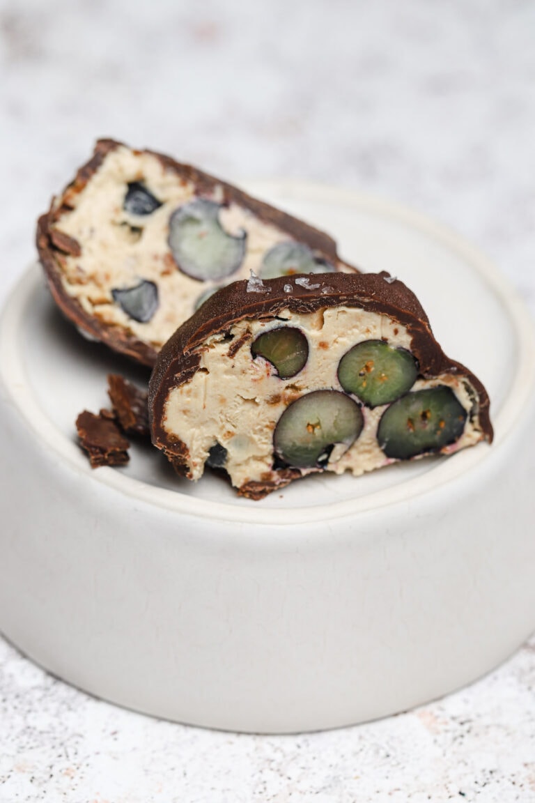 Frozen Greek Yogurt Bites with Cookie Butter Well Seasoned Studio