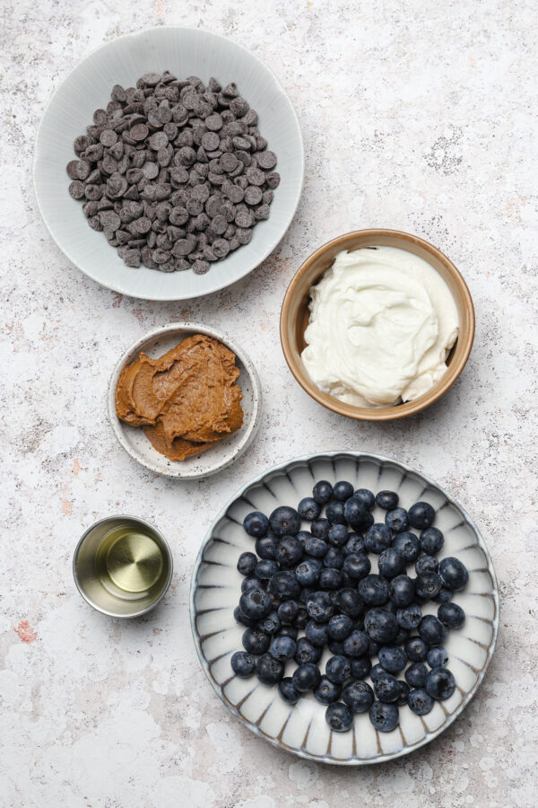 Frozen Greek Yogurt Bites with Cookie Butter Well Seasoned Studio