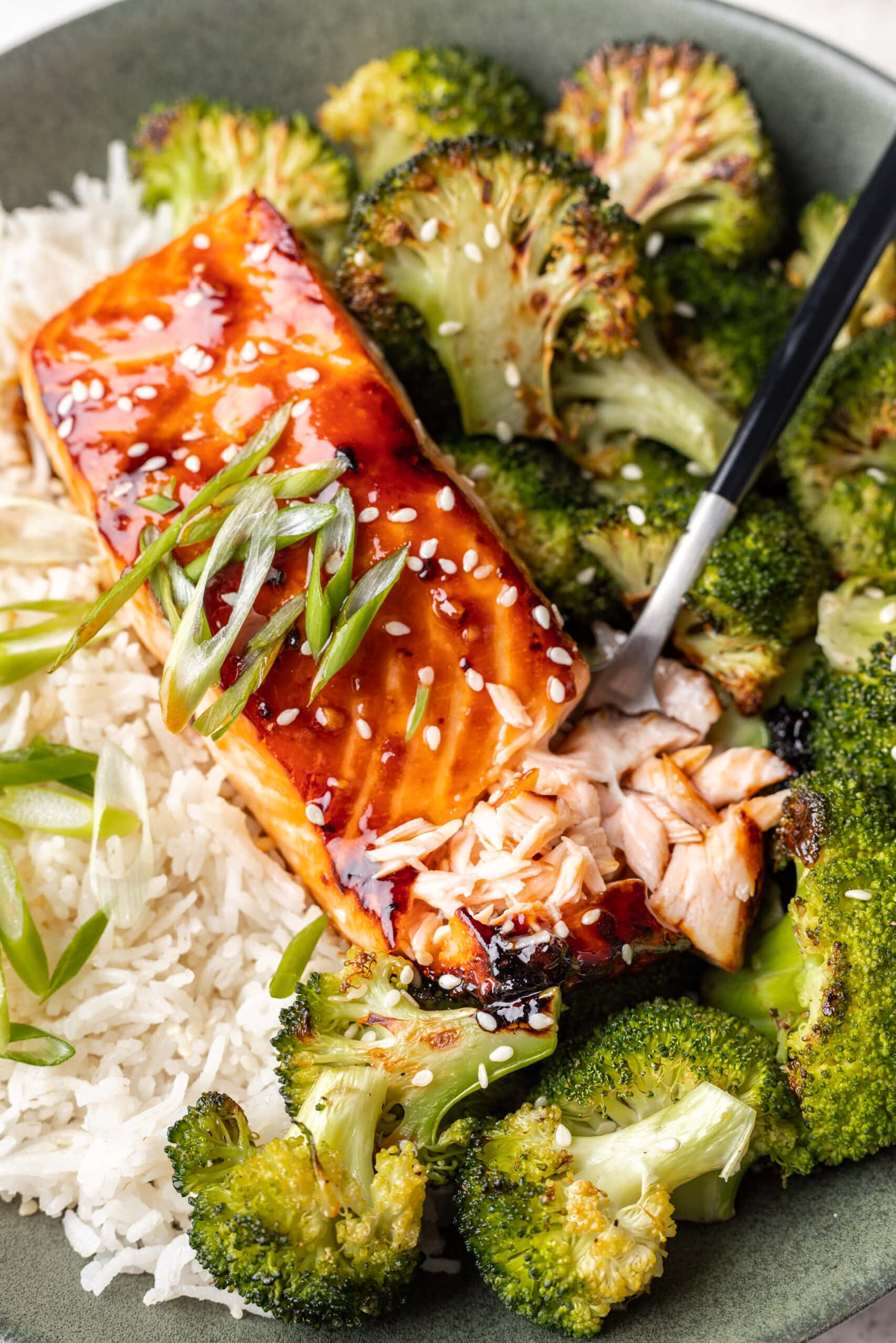 Flaky Oven-Broiled Teriyaki Salmon Filets