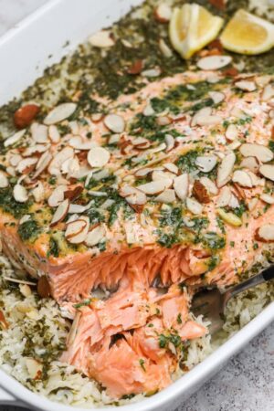 Rice and baked salmon being flaked with a fork.