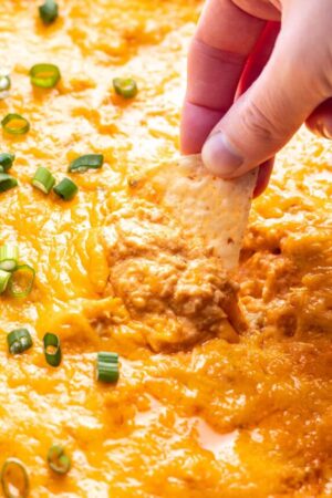 Scooping buffalo chicken dip with a tortilla chip.