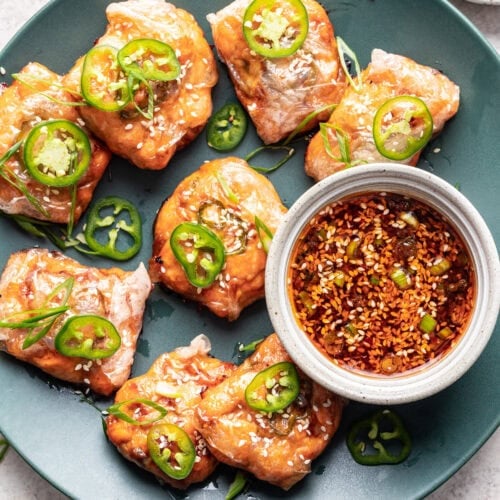 Crispy Rice Paper RollUps with Salmon Well Seasoned Studio
