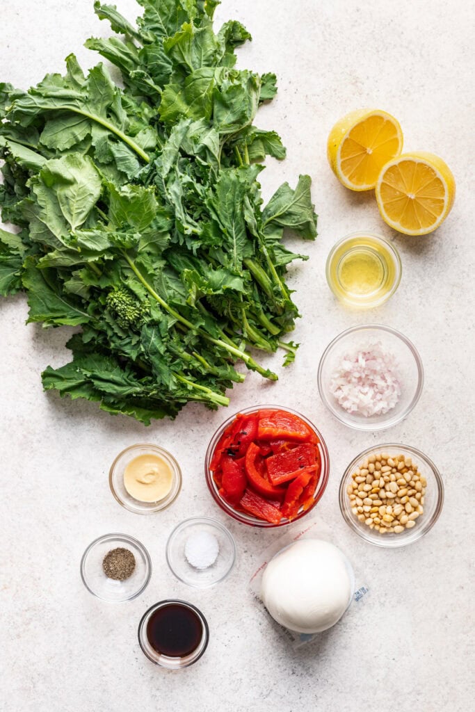 Make-Ahead Broccoli Rabe Salad with Mozzarella - Well Seasoned Studio