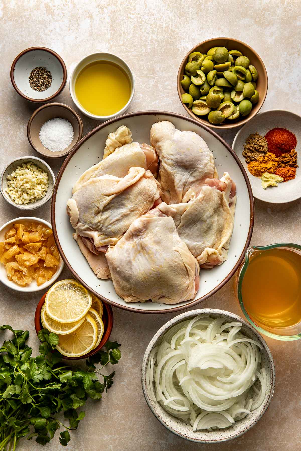 Braised Moroccan Chicken - Well Seasoned Studio