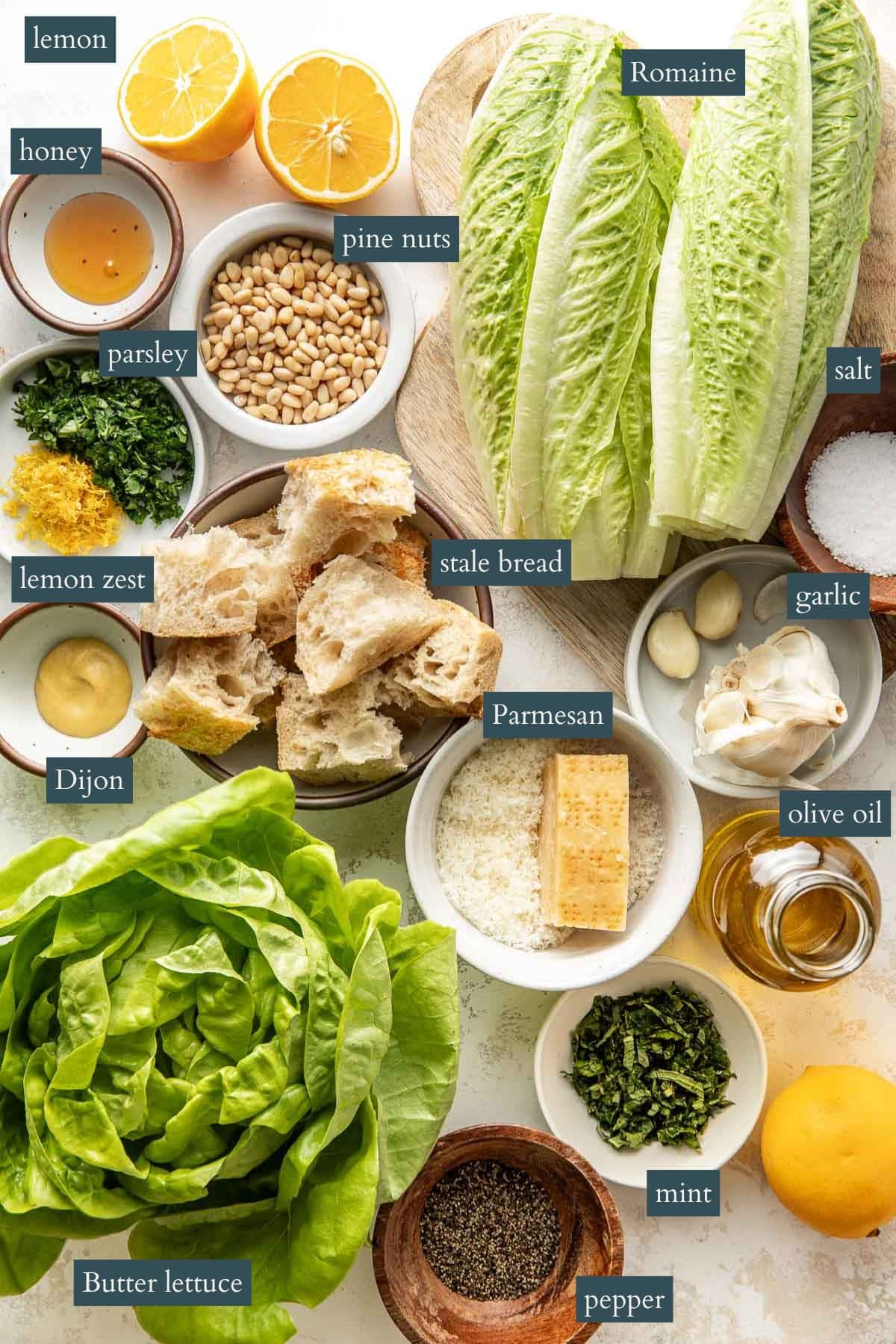 Overhead view of salad ingredients, labeled: lemon, honey, pine nuts, Romaine, salt, garlic, olive oil, mint, pepper, butter lettuce, Dijon, lemon zest, parsley, stale bread, and Parmesan cheese.