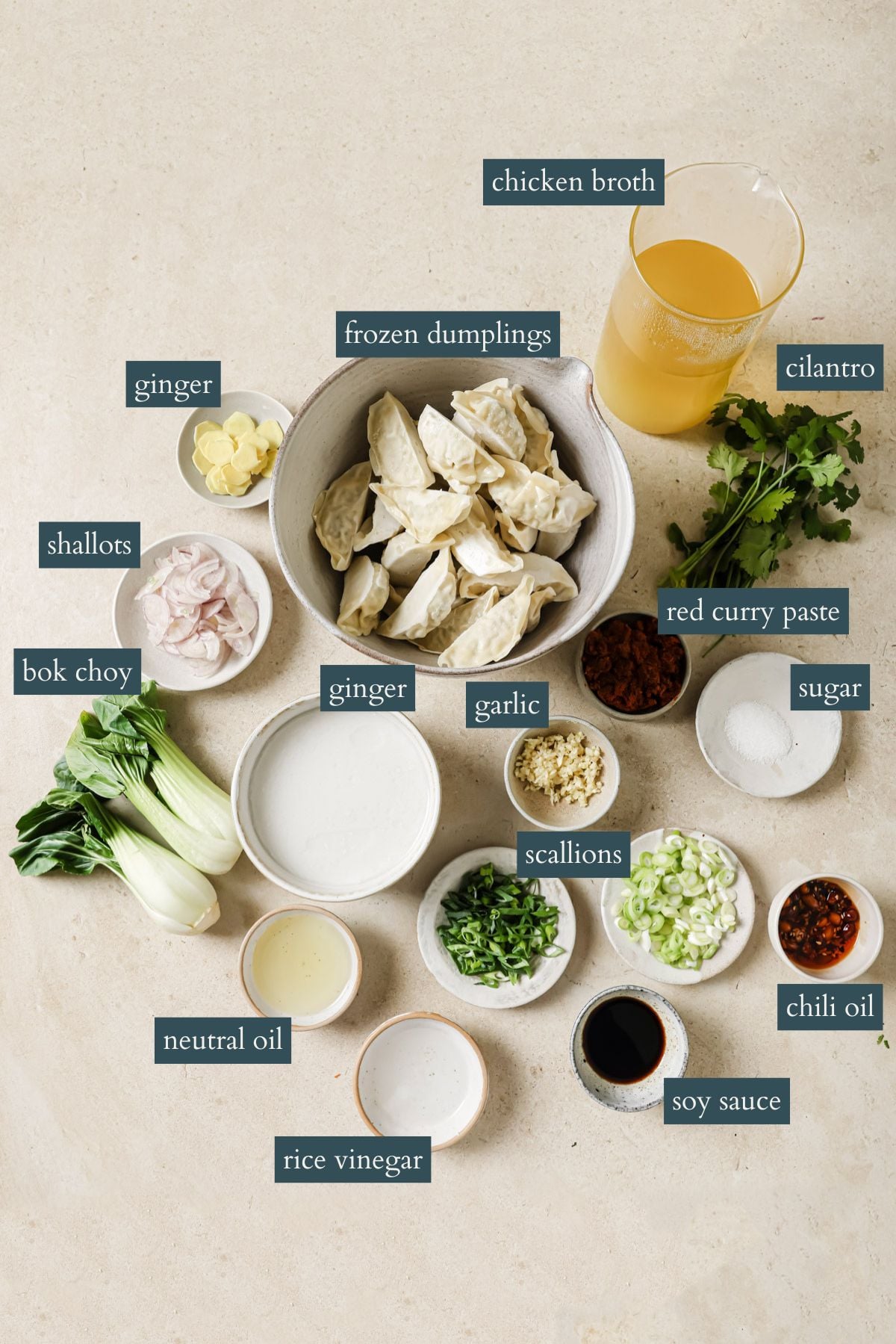 A flat lay of labeled ingredients on a beige surface, including frozen dumplings, chicken broth, red curry paste, ginger, garlic, shallots, bok choy, scallions, cilantro, sugar, chili oil, soy sauce, rice vinegar, neutral oil, and coconut milk.