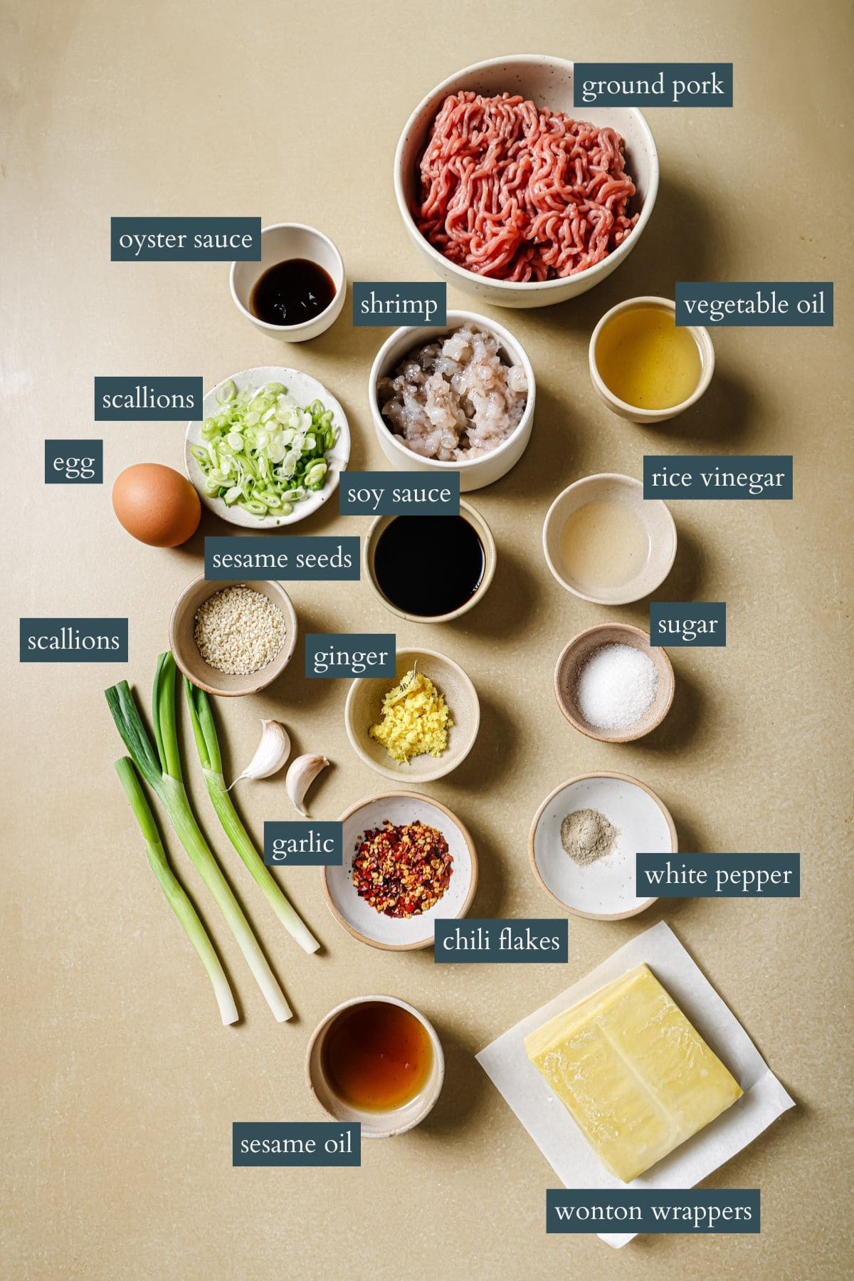 Overhead view of labeled ingredients for dumplings including ground pork, shrimp, egg, scallions, ginger, garlic, soy sauce, oyster sauce, sesame oil, sesame seeds, chili flakes, rice vinegar, sugar, white pepper, vegetable oil, and wonton wrappers.