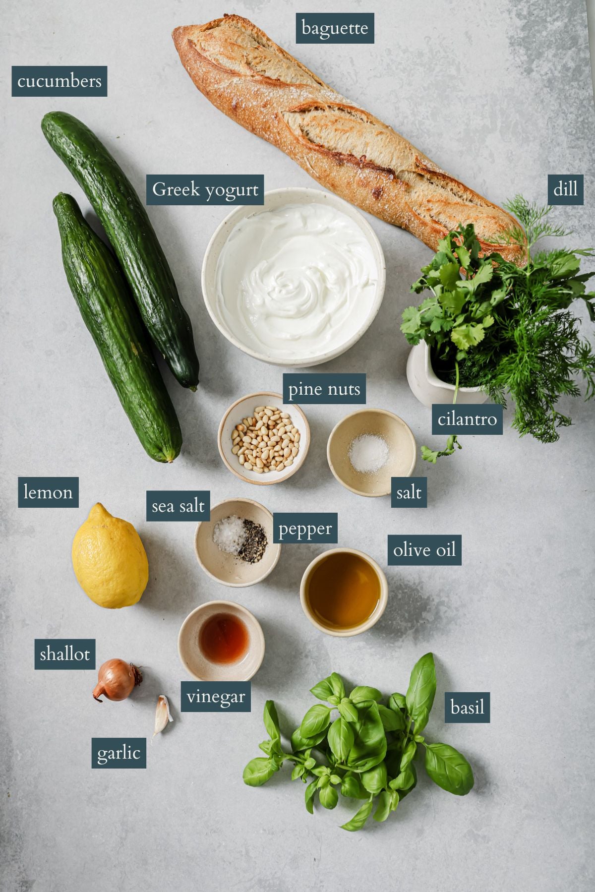 A flat lay of ingredients including a baguette, cucumbers, Greek yogurt, dill, cilantro, pine nuts, lemon, sea salt, pepper, olive oil, shallot, vinegar, garlic, and basil, each labeled with text.