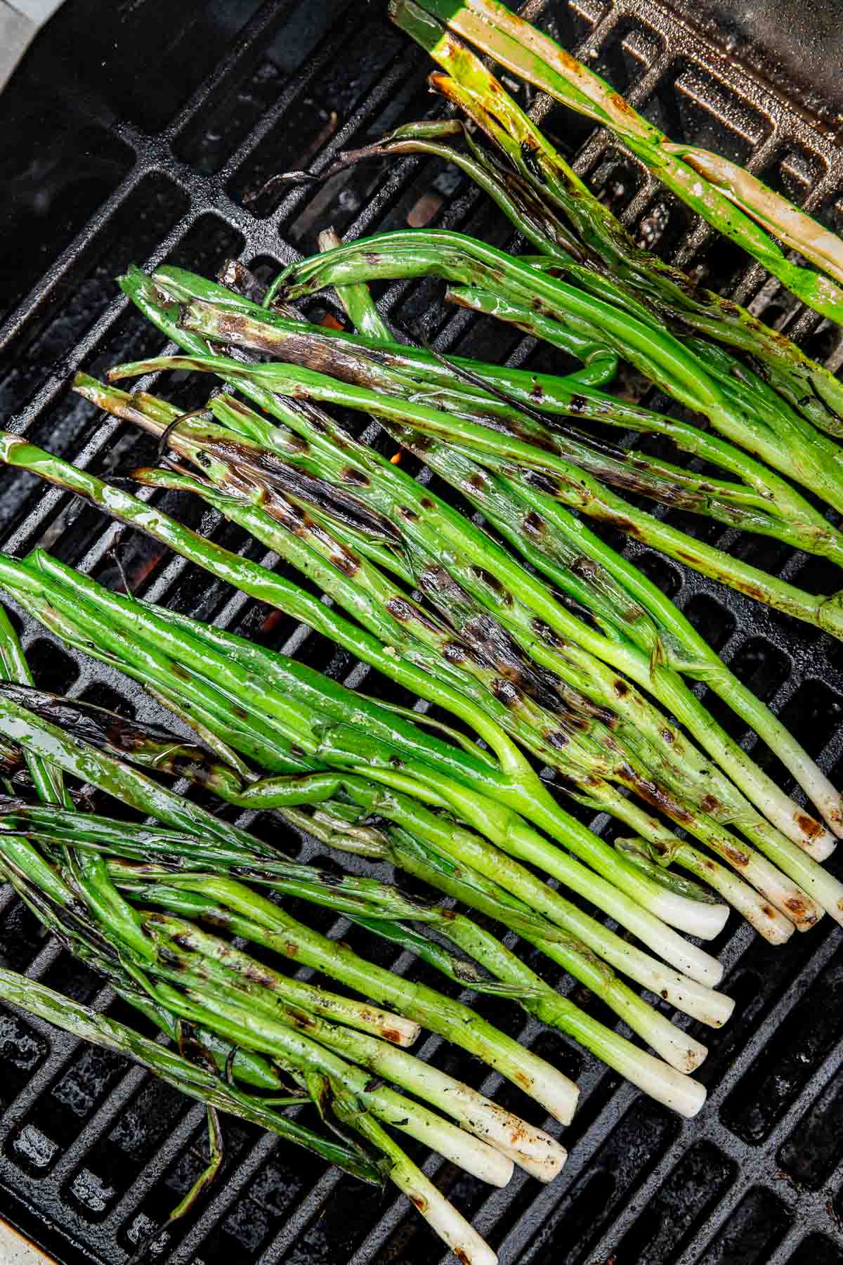 A bunch of green onions being grilled on a barbecue, with char marks visible on the stalks and grill grates underneath.
