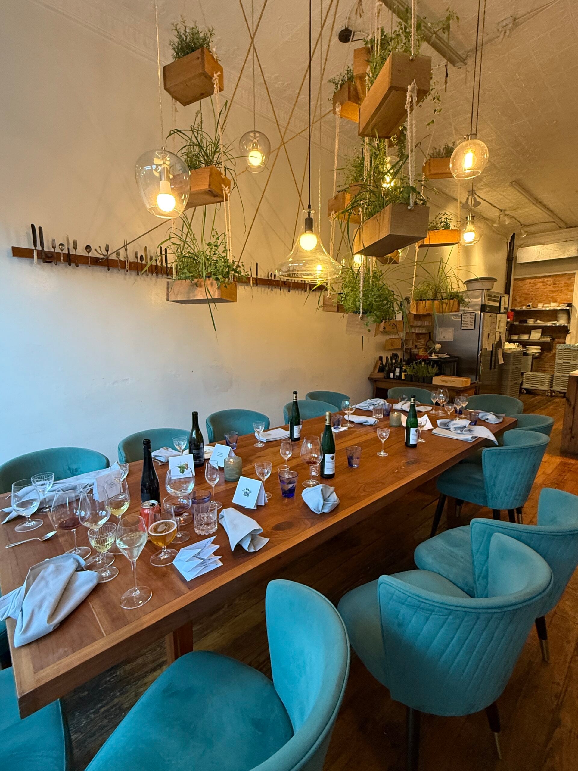 A wooden dining table with teal chairs is set with used glassware, bottles, and napkins. Hanging plants and exposed bulbs decorate the ceiling in a cozy, modern restaurant interior.