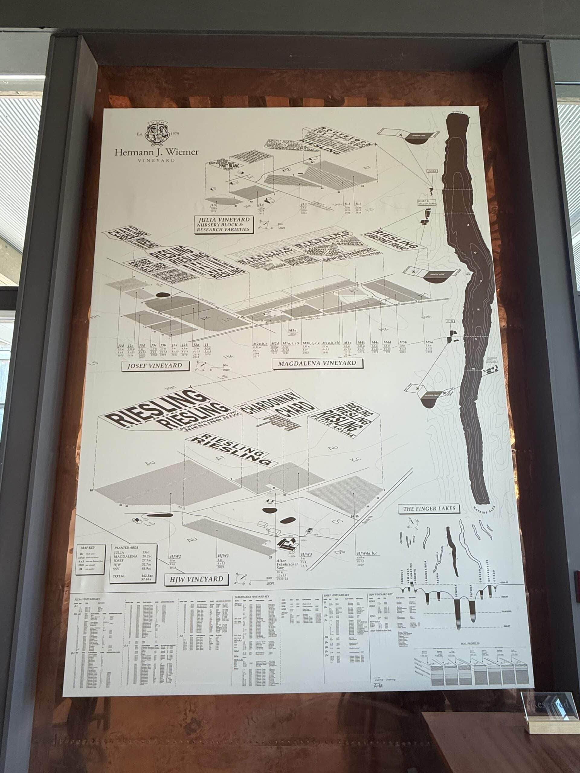 A large, detailed vineyard map titled Hermann J. Wiemer Vineyard shows labeled vineyard blocks, topography, and technical data, displayed on a wall in a metal and wood frame.