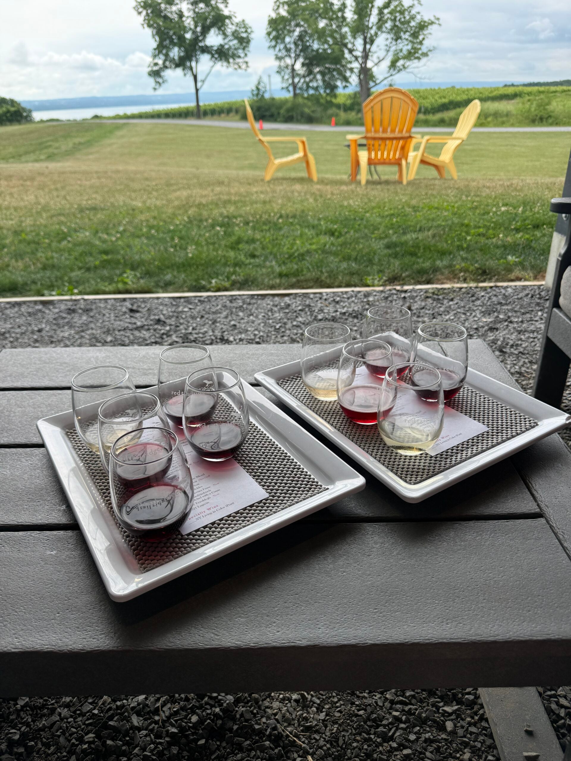 Two trays of wine glasses with red and white wine samples sit on a table. In the background, two yellow chairs face an open grassy field with trees and water visible in the distance.