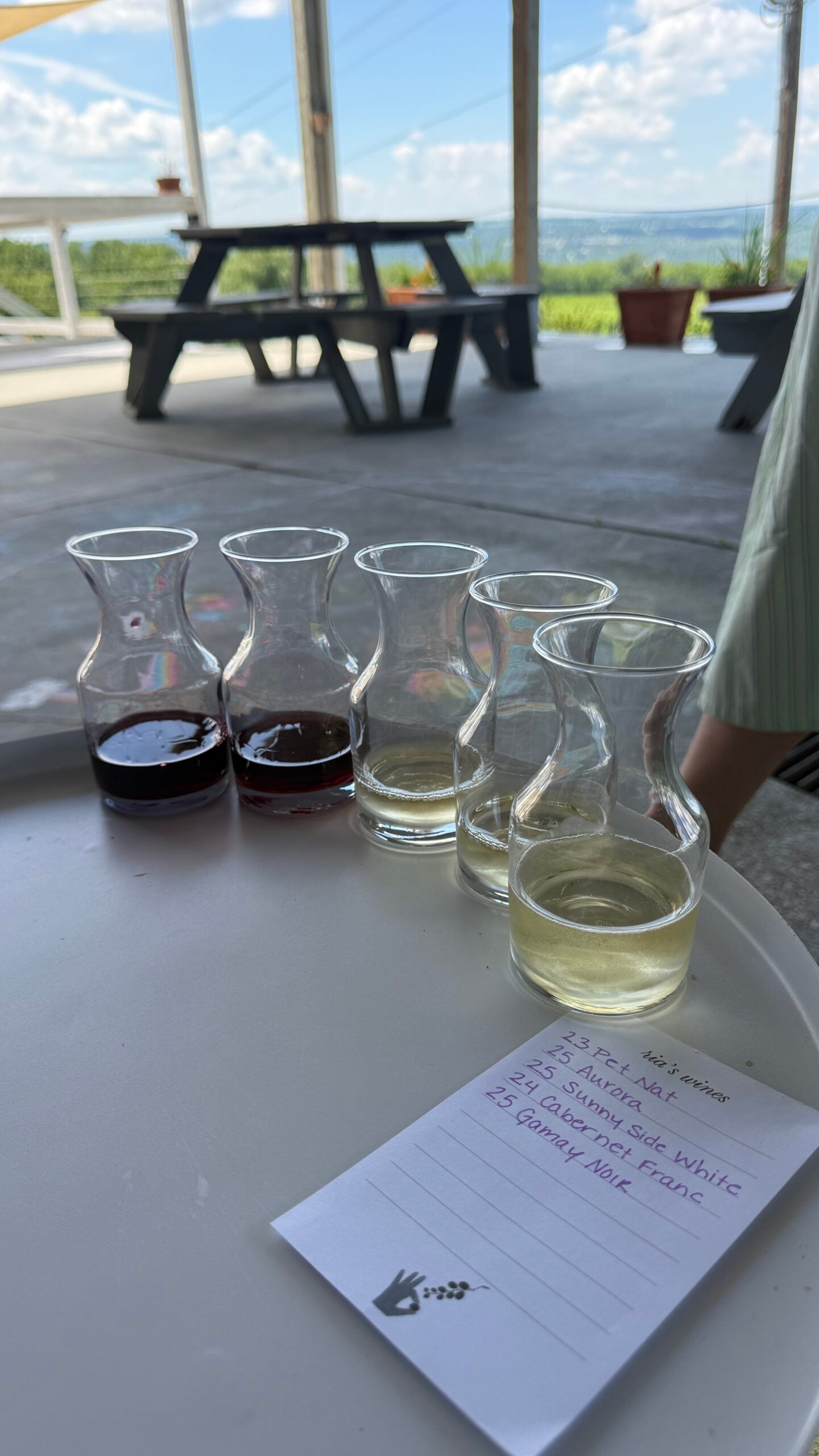 Five small glass carafes with different types of wine are lined up on a white table next to a handwritten tasting list. A picnic table, potted plants, and scenic hills are visible outside through large windows.