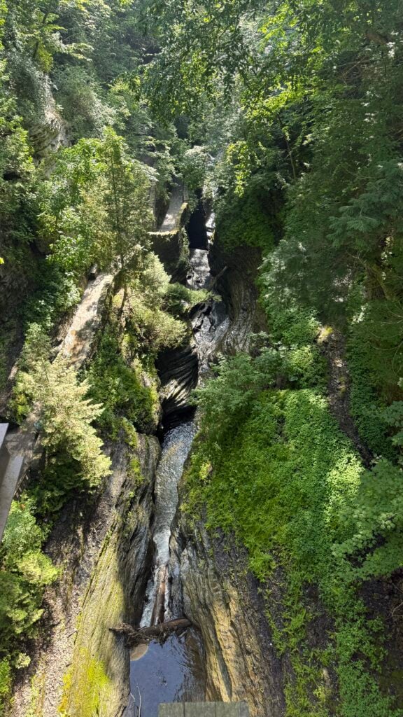A narrow rocky gorge filled with flowing water, surrounded by lush green trees and vegetation under bright sunlight.