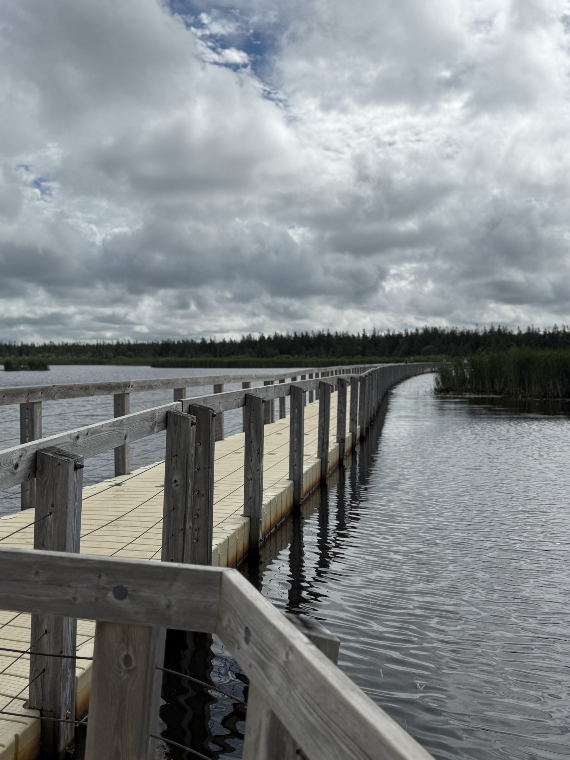 A wooden boardwalk with railings curves over a calm lake under a cloudy sky, surrounded by reeds and distant trees.