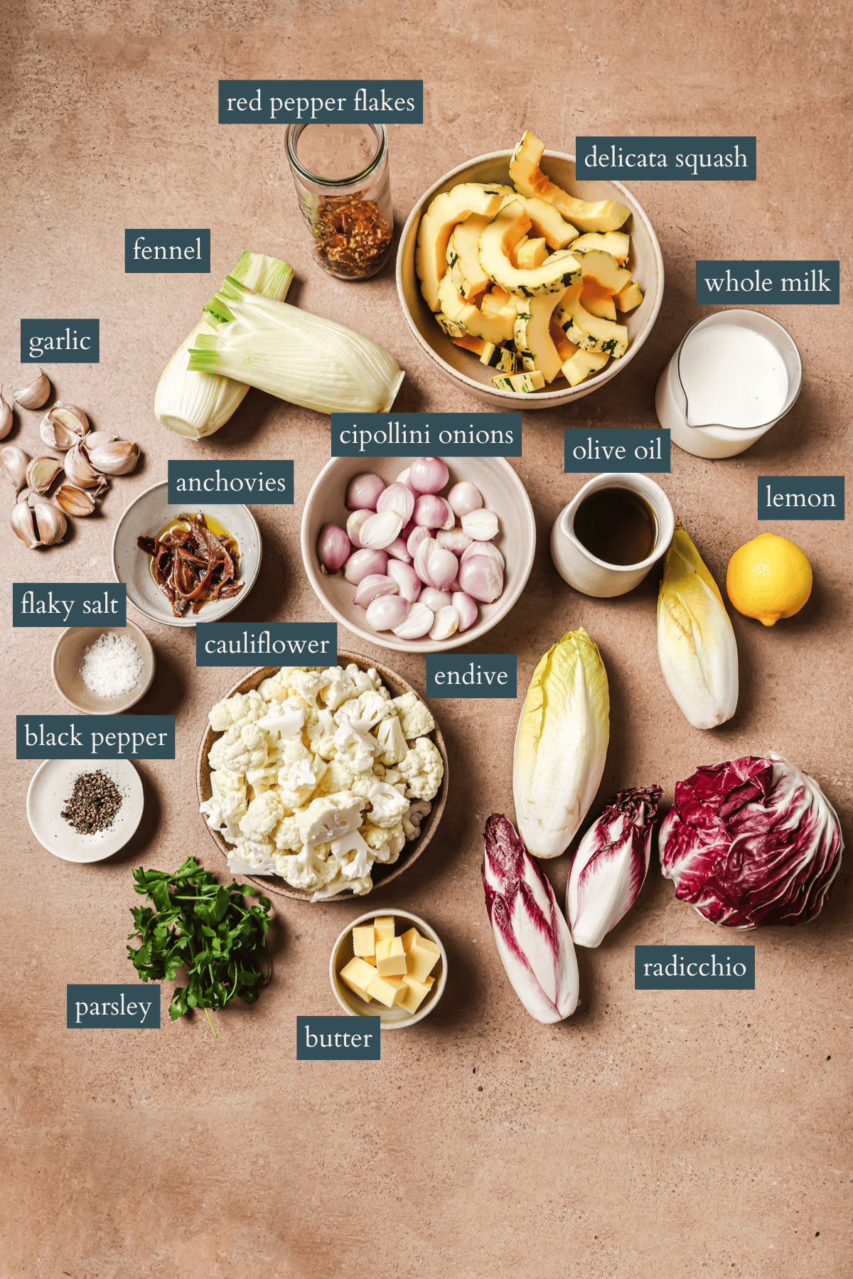 Overhead view of fresh ingredients for a recipe, including chopped delicata squash, cauliflower, endive, radicchio, fennel, garlic, cipollini onions, anchovies, butter, milk, olive oil, lemon, and seasonings, all labeled with text.